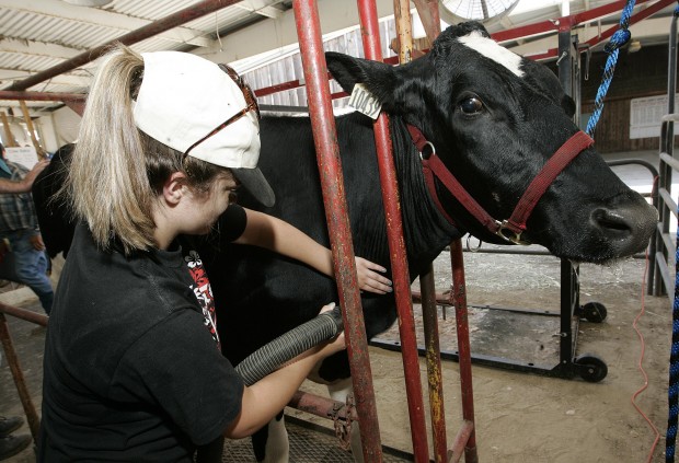 Kings Fair 2011